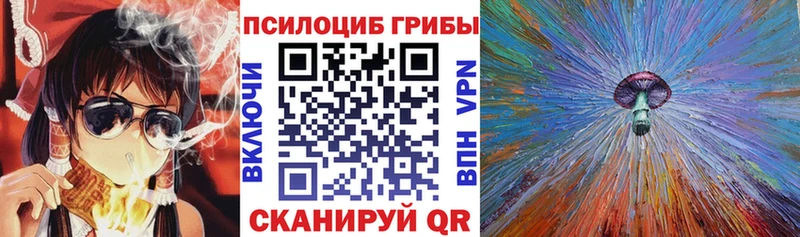 наркошоп  Калуга  Галлюциногенные грибы GOLDEN TEACHER 